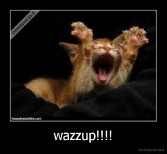 wazzup!!!! - 