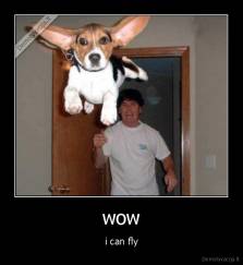 wow - i can fly