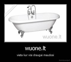 wuone.lt - vieta kur visi draugai maudosi