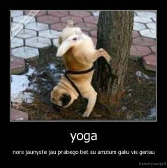yoga - nors jaunyste jau prabego bet su amzium galiu vis geriau