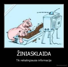 ŽINIASKLAIDA - Tik reikalingiausia informacija