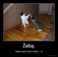 Žaibą. - Sakau kad visi ji moka. : D