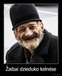 Žaibai dzieduko kelnėse - 