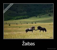 Žaibas - 