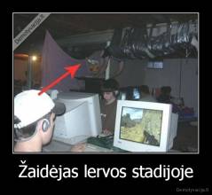 Žaidėjas lervos stadijoje - 