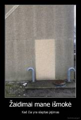 Žaidimai mane išmokė - Kad čia yra slaptas įėjimas