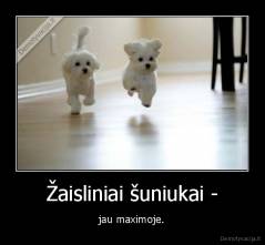 Žaisliniai šuniukai - - jau maximoje.