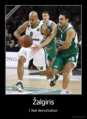 Žalgiris - I feel demotivation