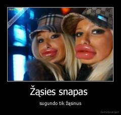 Žąsies snapas  - sugundo tik žąsinus