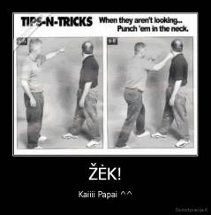 ŽĖK! - Kaiiii Papai ^^