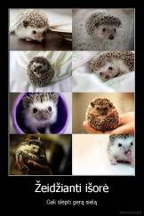 Žeidžianti išorė - Gali slėpti gerą sielą