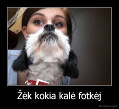 Žėk kokia kalė fotkėj - 