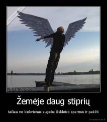 Žemėje daug stiprių - tačiau ne kiekvienas sugeba išskleisti sparnus ir pakilti