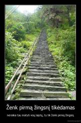 Ženk pirmą žingsnį tikėdamas - nereikia tau matyti visų laiptų, tu tik ženk pirmą žingsnį.