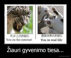 Žiauri gyvenimo tiesa... - 