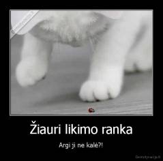 Žiauri likimo ranka - Argi ji ne kalė?!