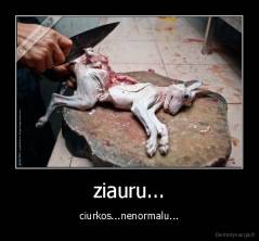 ziauru... - ciurkos...nenormalu...