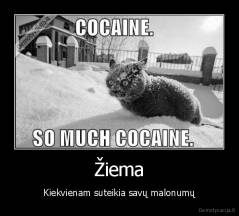 Žiema - Kiekvienam suteikia savų malonumų