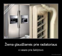 Žiema glaudžiamės prie radiatoriaus - o vasara prie šaldytuvo