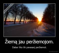 Žiemą jau peržiemojom. - Dabar liko tik pavasarį peržiemot.