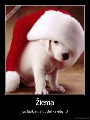 Žiema - jos laukiama tik dėl kalėdų :D
