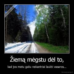 Žiemą mėgstu dėl to, - kad jos metu galiu nekantriai laukti vasaros...