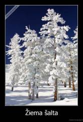 Žiema šalta - 