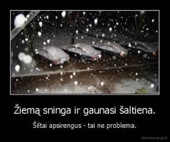 Žiemą sninga ir gaunasi šaltiena. - Šiltai apsirengus - tai ne problema.