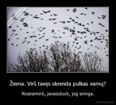 Žiema. Virš tavęs skrenda pulkas varnų? - Nusiramink, įsivaizduok, jog sninga.