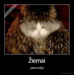 Žiemai - pasiruošęs