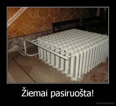 Žiemai pasiruošta! - 