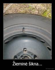 Žieminė šikna... - 