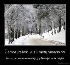 Žiemos įrašas: 2013 metų vasario 59 - Atrodo, kad niekas nepastebėjo, jog žiema jau seniai baigėsi