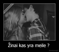 Žinai kas yra meile ?  - 