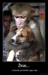 Žinai... - ...žmonės yra kitokie negu mes