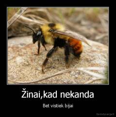 Žinai,kad nekanda - Bet vistiek bijai