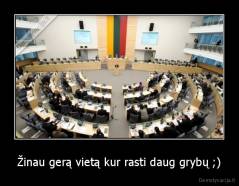 Žinau gerą vietą kur rasti daug grybų ;) - 