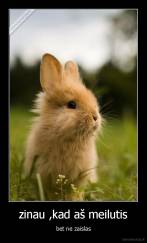 zinau ,kad aš meilutis - bet ne zaislas