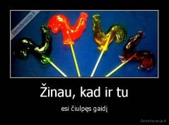 Žinau, kad ir tu - esi čiulpęs gaidį