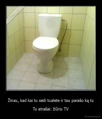 Žinau, kad kai tu sėdi tualete ir tau parašo ką tu - Tu atrašai: žiūriu TV