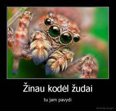 Žinau kodėl žudai - tu jam pavydi