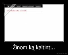 Žinom ką kaltint... - 