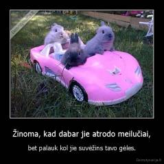 Žinoma, kad dabar jie atrodo meilučiai, - bet palauk kol jie suvėžins tavo gėles.