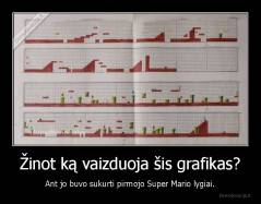 Žinot ką vaizduoja šis grafikas? - Ant jo buvo sukurti pirmojo Super Mario lygiai.