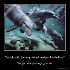 Žinot,kodėl į Lietuvą niekad neatplaukia delfinai? - Nes jie labai protingi gyvūnai.