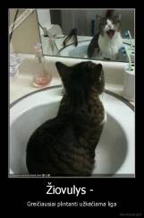 Žiovulys -  - Greičiausiai plintanti užkėčiama liga