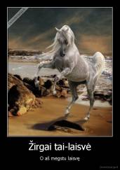 Žirgai tai-laisvė - O aš mėgstu laisvę