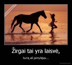 Žirgai tai yra laisvė, - kurią aš įsimylėjau...