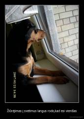 Žiūrėjimas į svetimus langus rodo,kad esi vienišas - 
