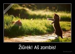 Žiūrėk! Aš zombis! - 